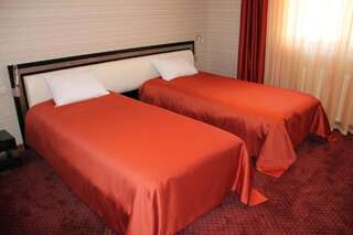 Курортные отели Hotel Villa Palace Бакуриани Двухместный номер с 2 отдельными кроватями-1