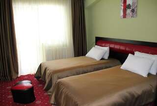 Курортные отели Hotel Villa Palace Бакуриани Двухместный номер с 2 отдельными кроватями-5